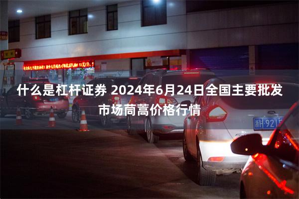 什么是杠杆证券 2024年6月24日全国主要批发市场茼蒿价格行情