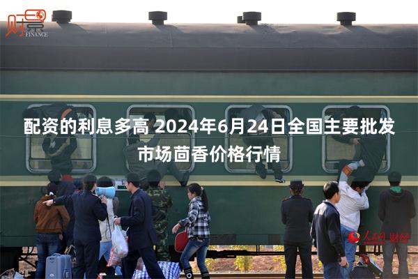 配资的利息多高 2024年6月24日全国主要批发市场茴香价格行情