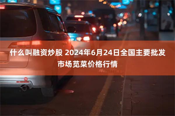 什么叫融资炒股 2024年6月24日全国主要批发市场苋菜价格行情