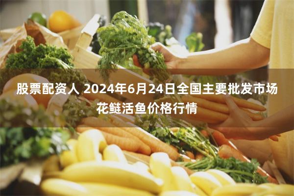 股票配资人 2024年6月24日全国主要批发市场花鲢活鱼价格行情