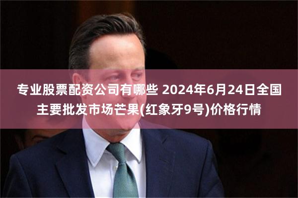 专业股票配资公司有哪些 2024年6月24日全国主要批发市场芒果(红象牙9号)价格行情