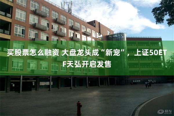 买股票怎么融资 大盘龙头成“新宠”，上证50ETF天弘开启发售