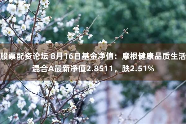 股票配资论坛 8月16日基金净值：摩根健康品质生活混合A最新净值2.8511，跌2.51%