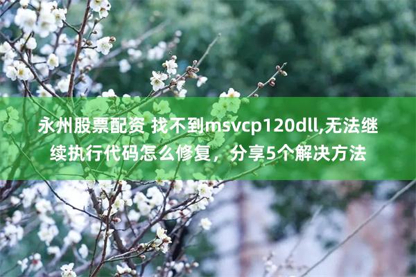 永州股票配资 找不到msvcp120dll,无法继续执行代码怎么修复，分享5个解决方法