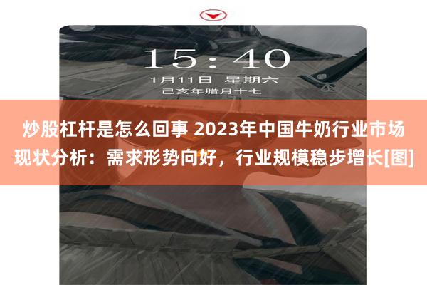 炒股杠杆是怎么回事 2023年中国牛奶行业市场现状分析：需求形势向好，行业规模稳步增长[图]