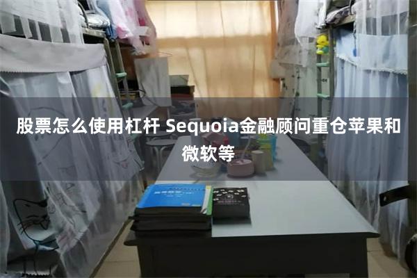 股票怎么使用杠杆 Sequoia金融顾问重仓苹果和微软等