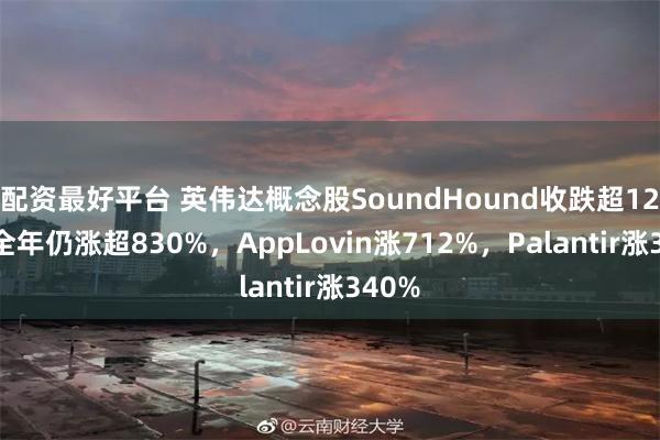 配资最好平台 英伟达概念股SoundHound收跌超12%，全年仍涨超830%，AppLovin涨712%，Palantir涨340%